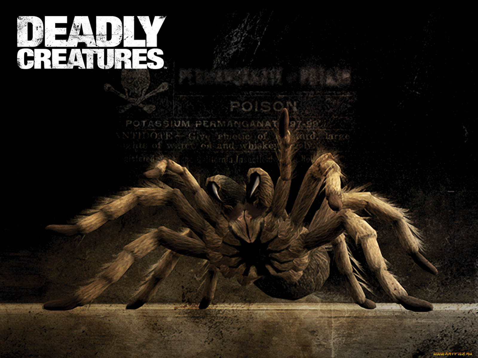 deadly, creatures, , 